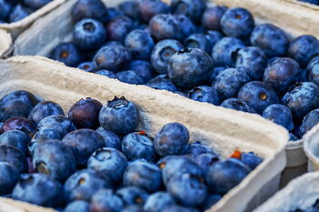 Lebensmittel gegen Entzündungen: Blaubeeren. Zu sehen sind zwei Schalen mit Heidelbeeren