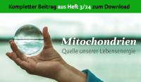 Mitochondrien Quelle unserer Lebensenergie - PDF Mitochondrien Quelle unserer Lebensenergie - PDF