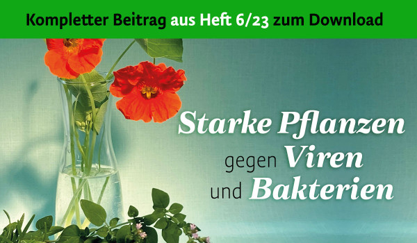 Starke Pflanzen gegen Viren und Bakterien - PDF