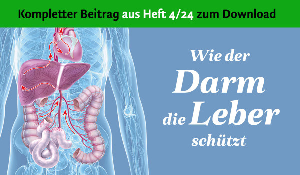 Wie der Darm die Leber schützt - PDF